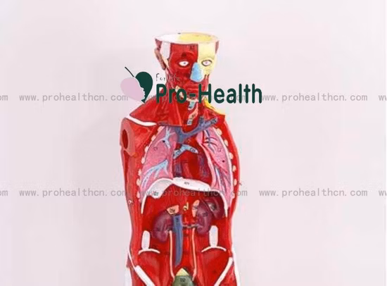 100% Cotton Tapes More Adhesive Bandage White Sports Rigid Tape Muscle Tape Athletic Tape Sport Tape Medical Tape